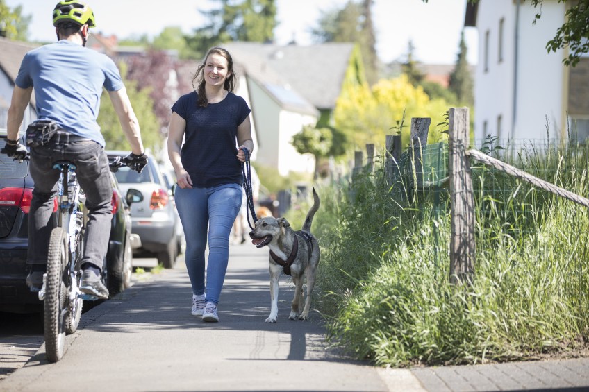 Pressemitteilung: Frau geht mit Hund spazieren