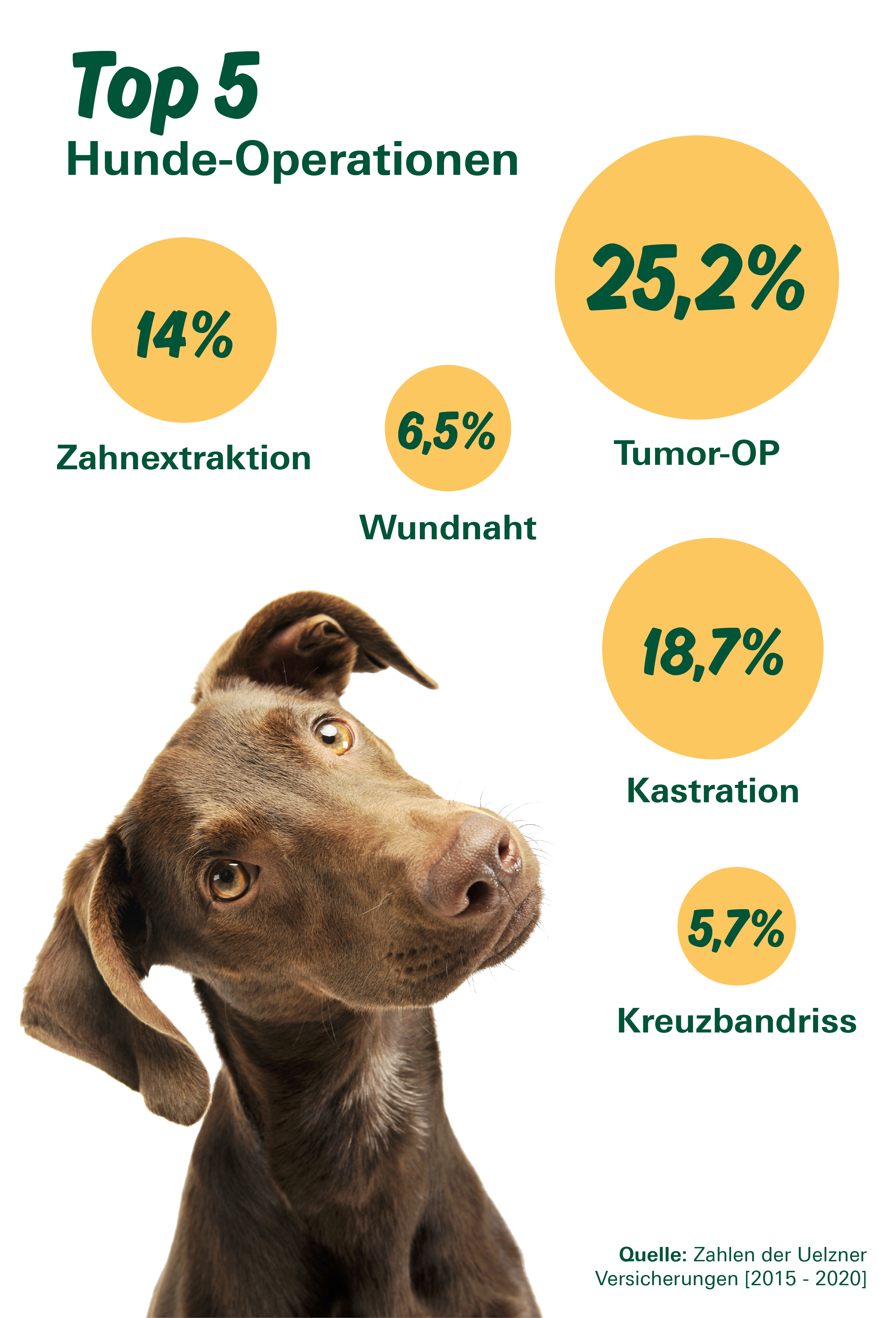 Tierkrankenversicherung: leistungsstarker Schutz für Haustier - DEVK