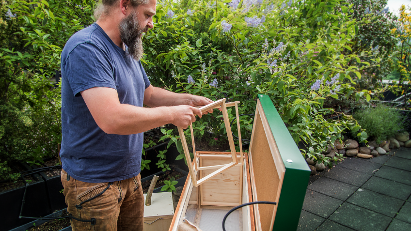 Stadtbienen - Imker bereitet Bienenbox für den Einzug vor