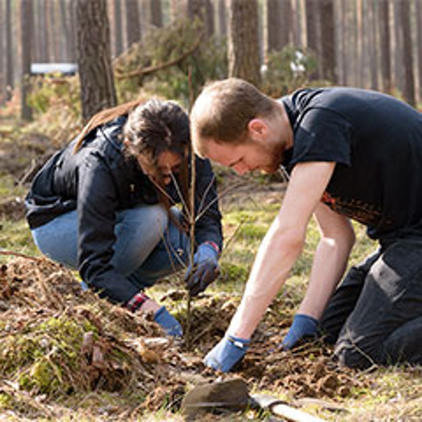 Tatkraft-Tag Bergwaldprojekt - Mann und Frau pflanzen Baum in Wald