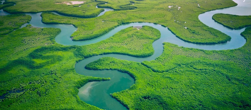 Luftbild vom Mangroven-Wald in Gambia