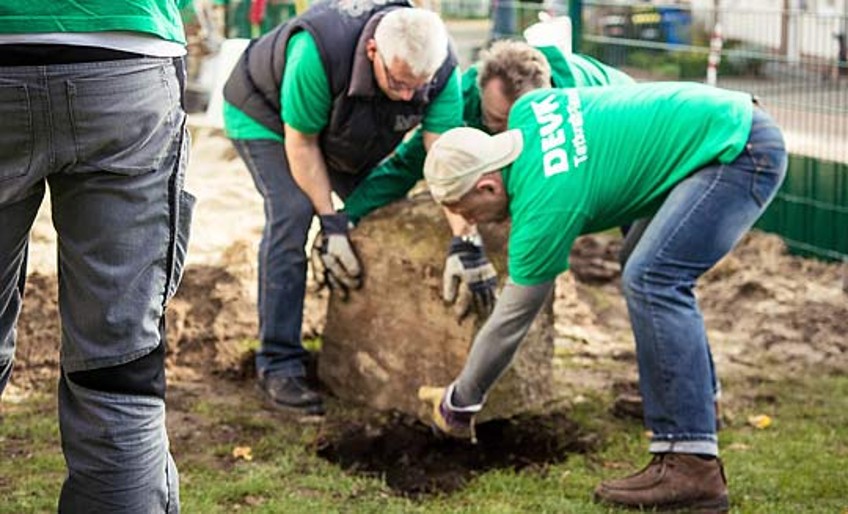 DEVK-Tatkraft-Tage 2015 - Team arbeitet fleißig im Garten