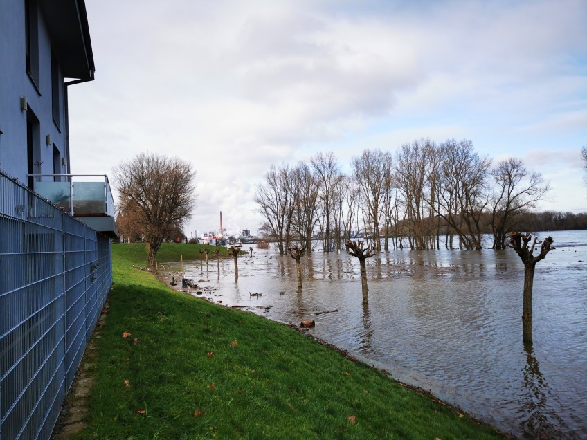 Pressemitteilung Hochwasser - Rheinhochwasser