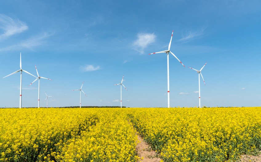 PM Nachhaltigkeit - WIndkraftanalgen mit Raps