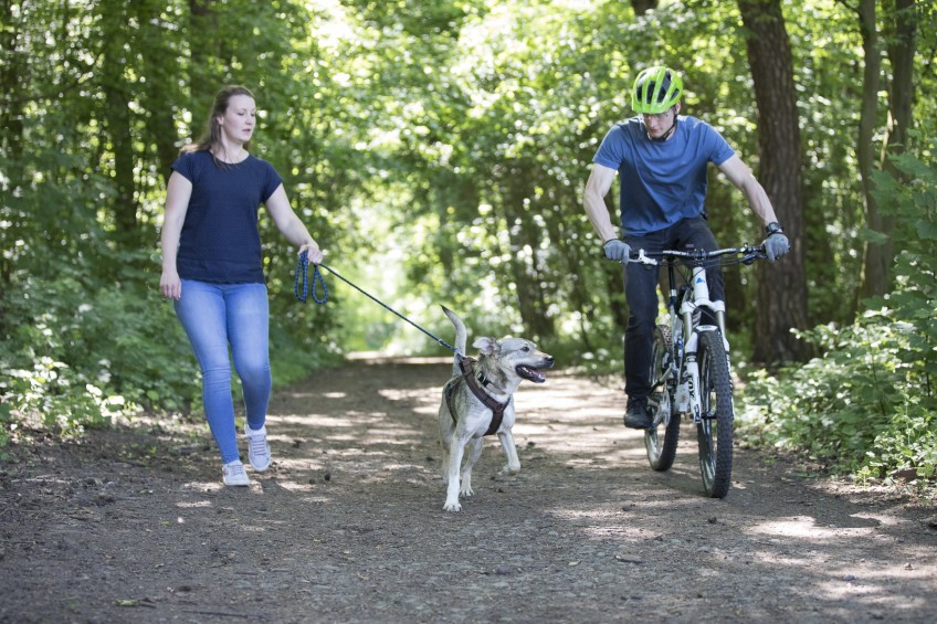 Pressemitteilung: Frau und Mann auf Fahrrad sind mit Hund im Wald unterwegs