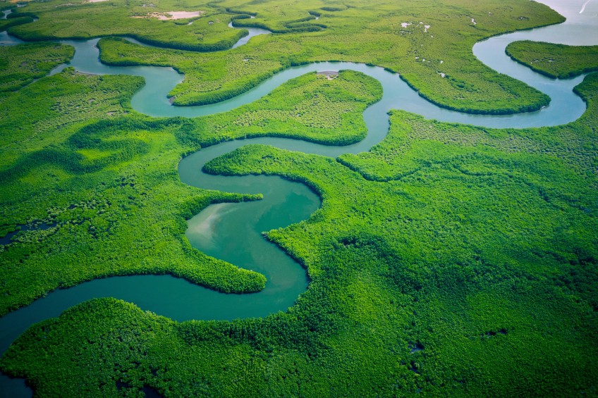 Pressemitteilung - Flussdelta