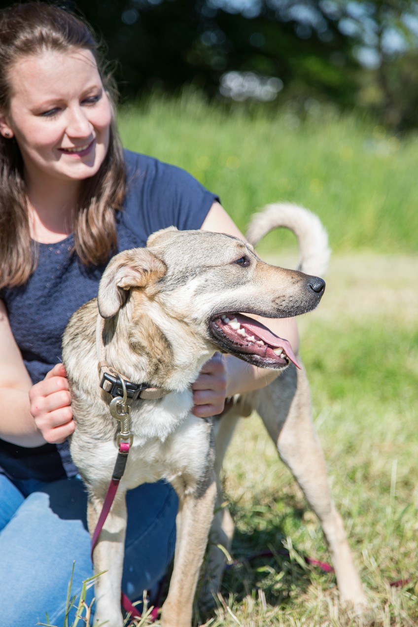 Pressemitteilung Liebe Dein Haustier Tag: Frau kuschelt mit Hund draussen