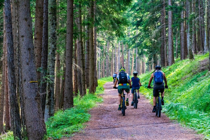 Pressemitteilung Moped - Radfahrer im Wald